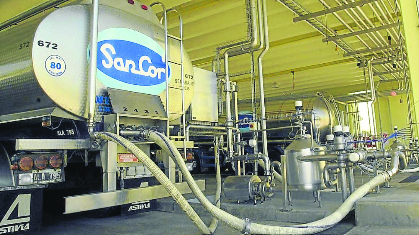 Sancor debe resignar compra de leche a sus tambos asociados