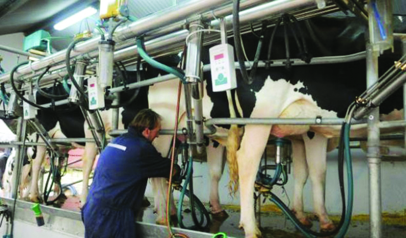 Lo negociado en lácteos en el acuerdo UE-Mercosur