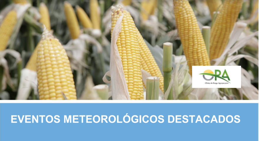 Se confirma un evento «Niña» en el Pacífico: condiciona el desarrollo de la agricultura en Argentina