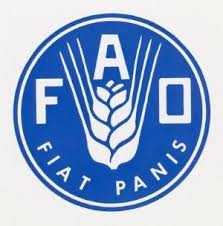 Indice de Precios de los Lácteos de FAO