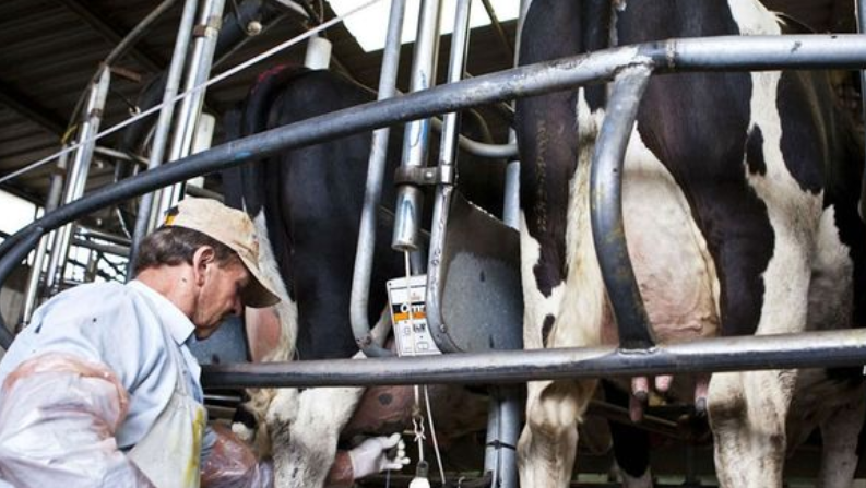 La caída en el precio de la vaca puso en alerta a CAPROLEC en Córdoba