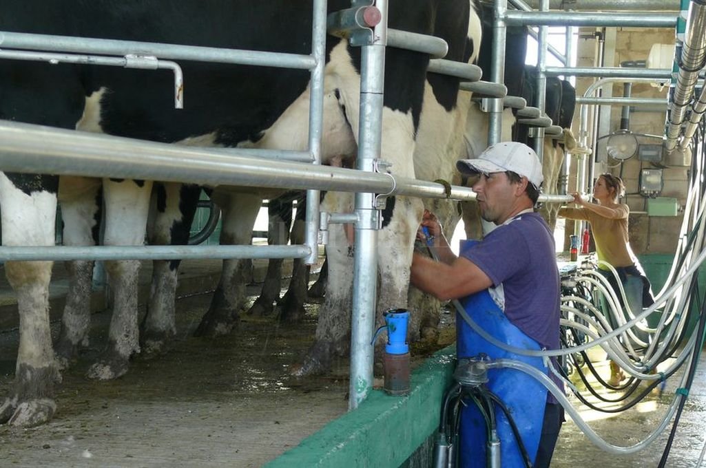 En febrero ’20, la producción de leche creció un 15% interanual a 771 M/litros