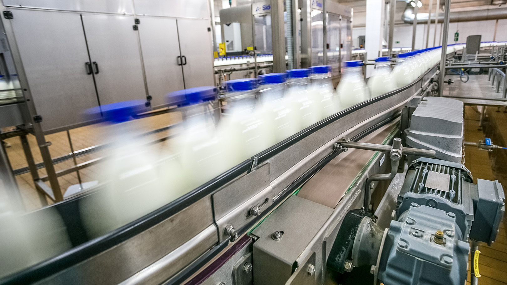 En Gran Bretaña, la industria láctea debió adaptarse rápidamente tras retricciones