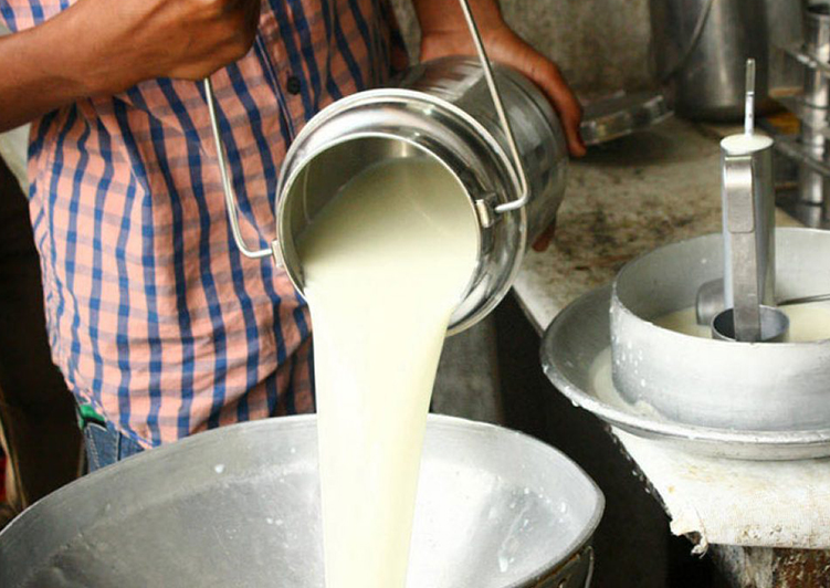 La sequía impactó de lleno sobre la producción de leche