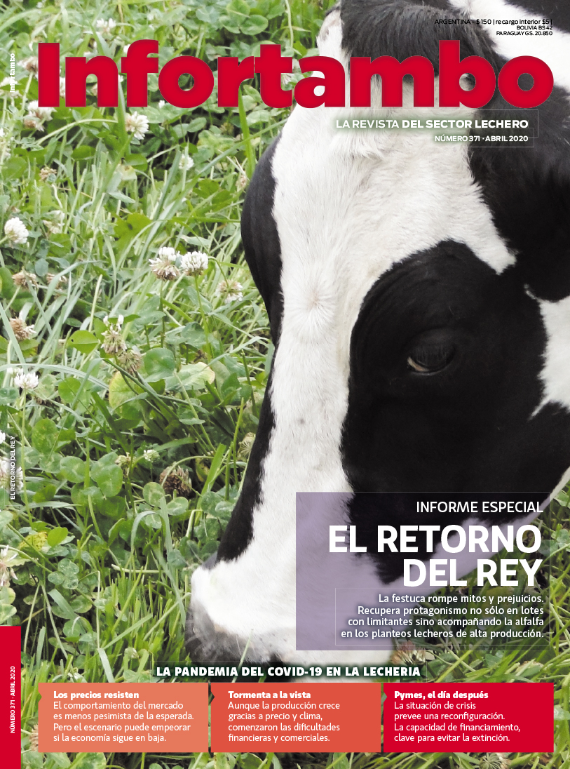 En cuarentena, te ofrecemos la Revista Infortambo 371: versión Online!