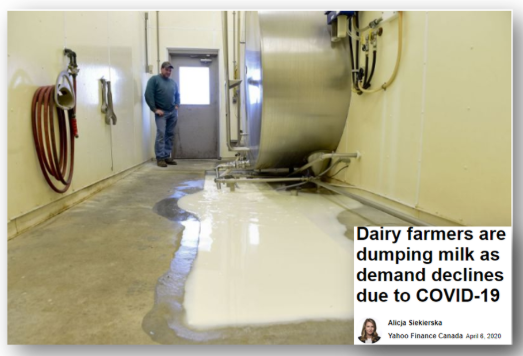 Canadá tira leche por falta de demanda ante pandemia