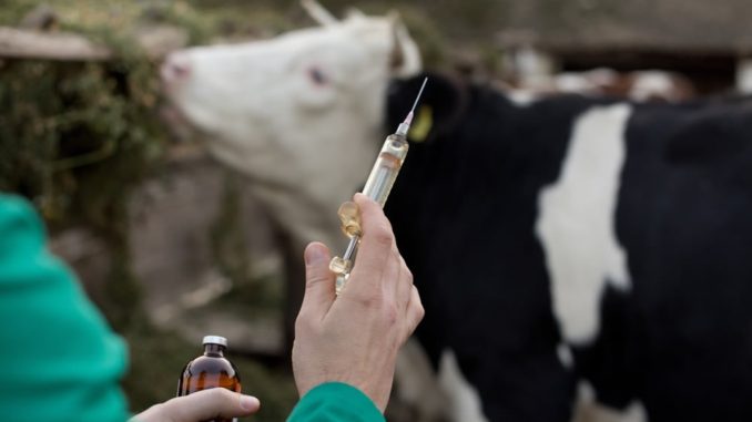 Academia Nacional de Agronomía y Veterinaria da «máxima prioridad» al alerta sanitario