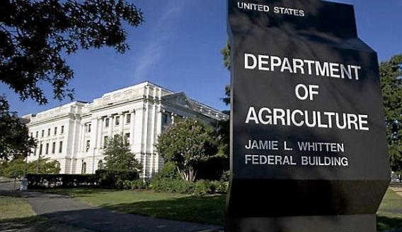 USDA volvió a recortar previsión de soja y maíz en informe de febrero ’22