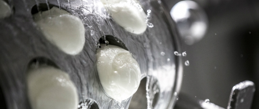 FAO: el precio de los lácteos cayó casi 20% en el último año