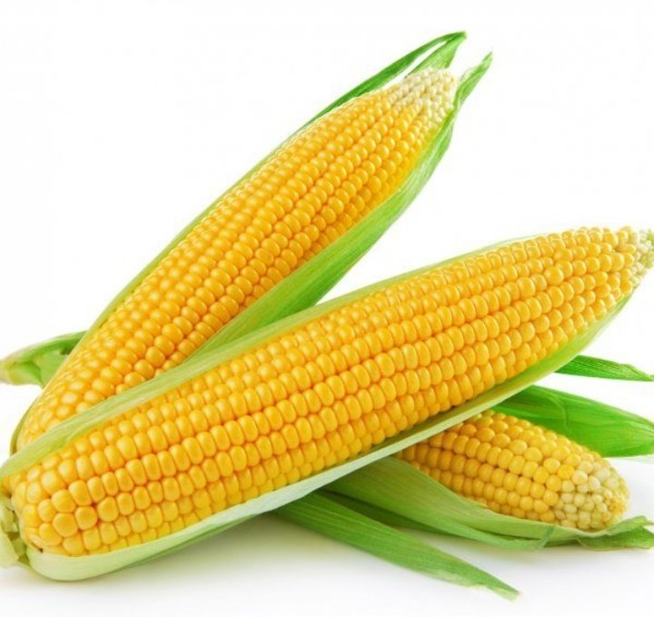 Precios firmes para el maíz en Chicago