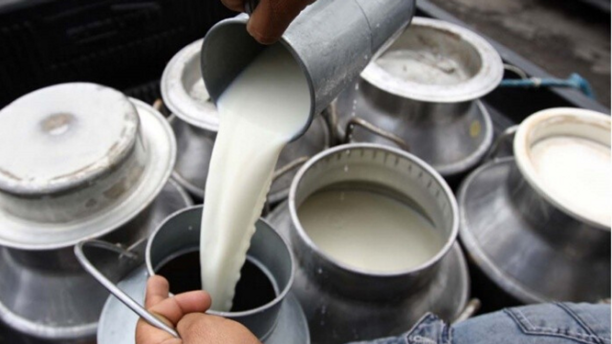 Los precios de la leche en tranquera trepó un 75,5% anual a octubre ’22
