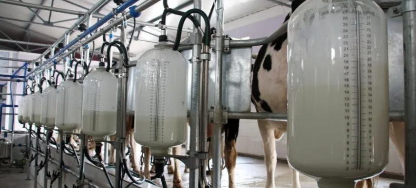 A mayo ’21, el valor en dólares de la leche toca los u$s 0,323 por litro