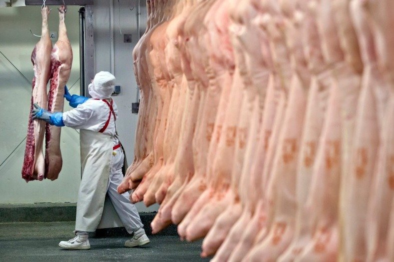 Trabajadores de la carne cerraron paritaria con alza del 45% con frigoríficos de carne roja