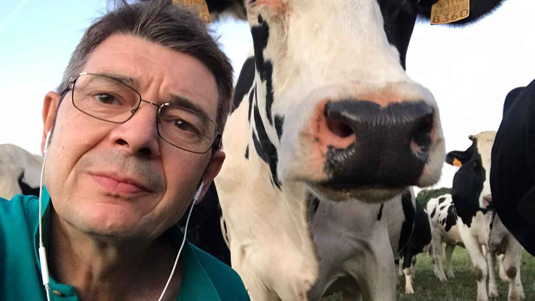 Los tamberos en España recibirán una ayuda promedio de € 130 por vaca lechera
