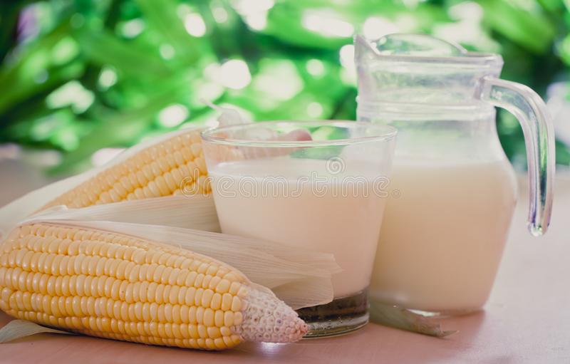 Se deterioró la relación leche-insumo en setiembre ’21: en maíz cayó casi 4% intermensual