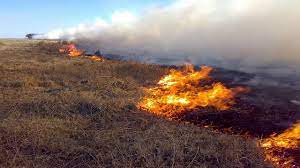 El ruralismo del Interior desestima que el incendio de campos sea provocado por productores