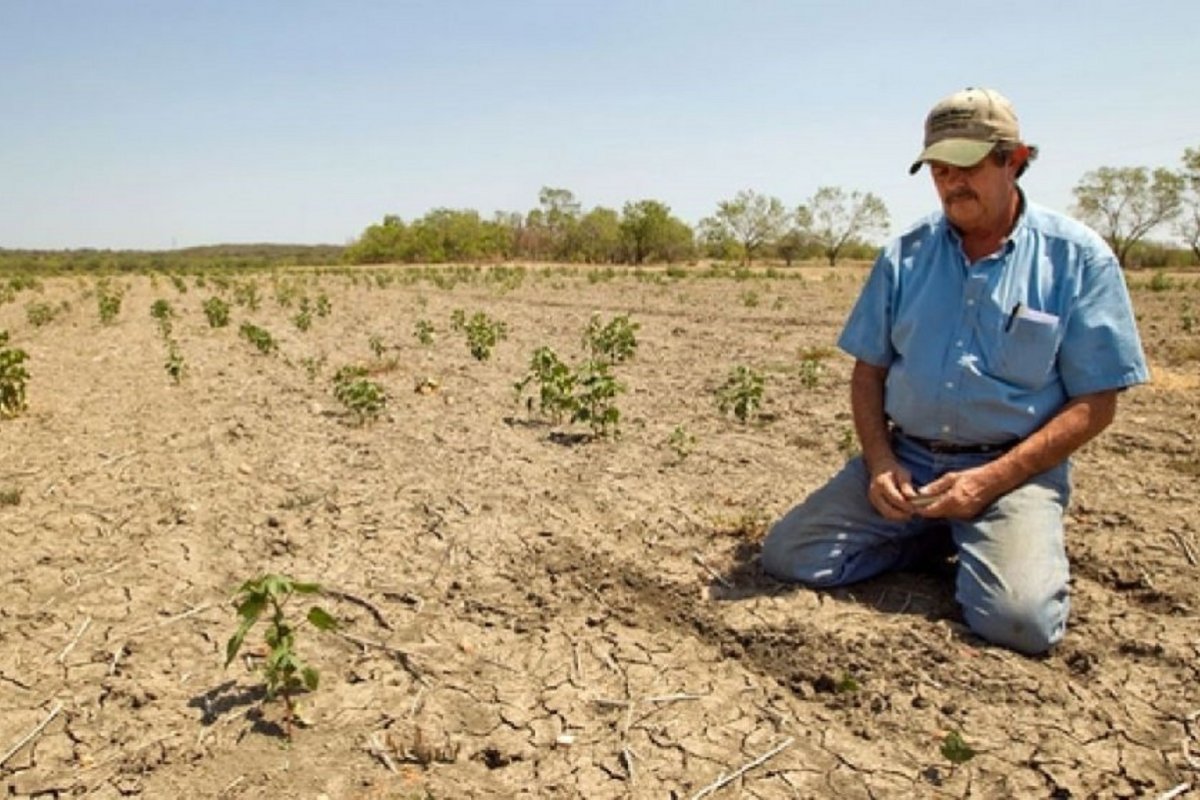 En Corrientes, productores afectados por sequía e incendios podrán acceder a créditos especiales