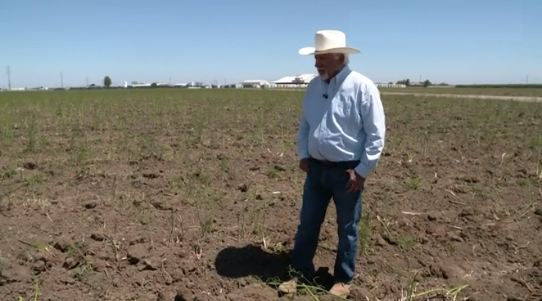 En Estados Unidos, la siembra gruesa no logra revertir el atraso que generó la sequía
