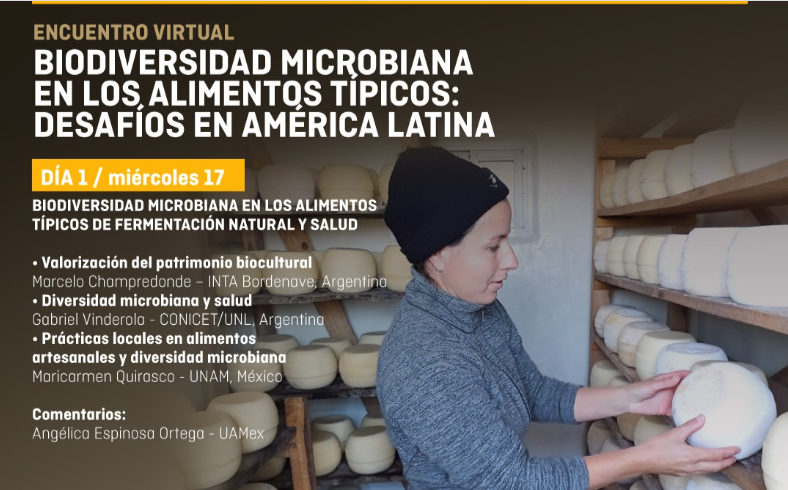 Seminario virtual sobre «Biodiversidad microbiana en alimentos»: se realizará el 17 y 24 de agosto
