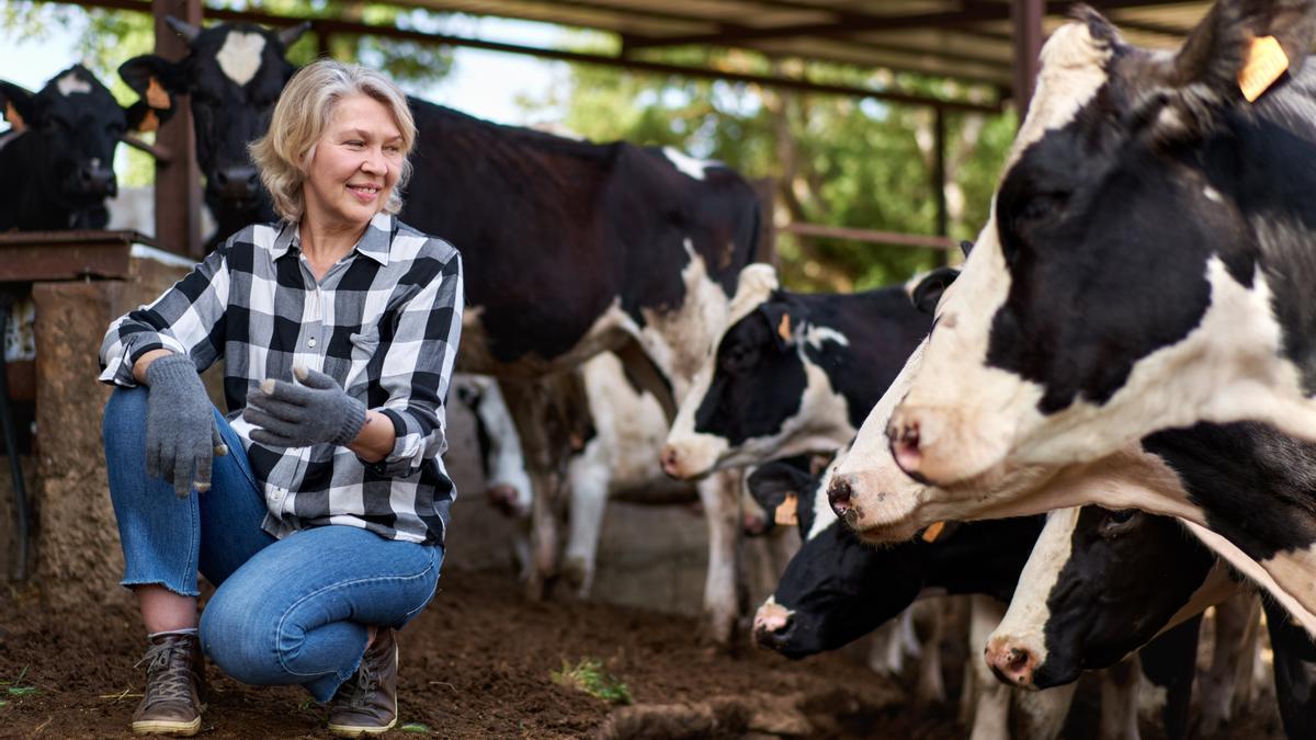 Los residuos de las vacas se convierten en una solución energética en Europa