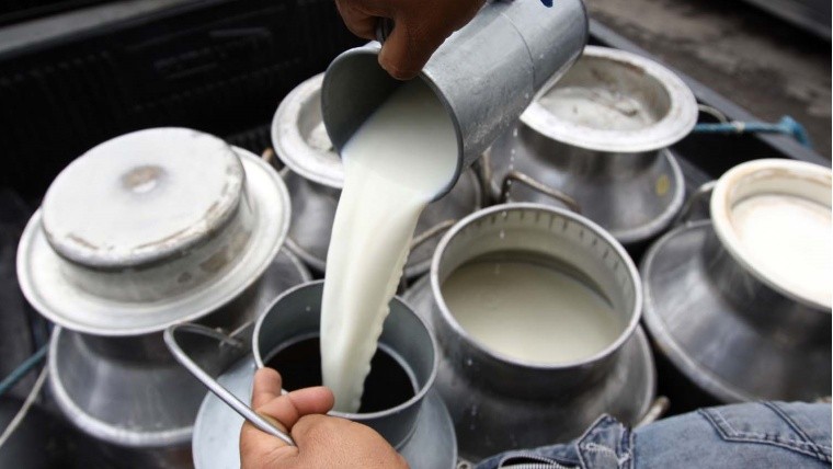 Más de la mitad de los tambos en Argentina producen el 65% de la leche