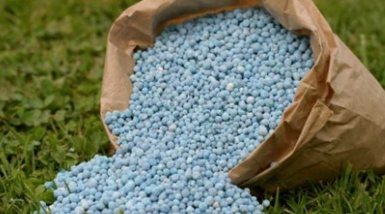 La industria de fertilizantes preocupados por la importación de insumos