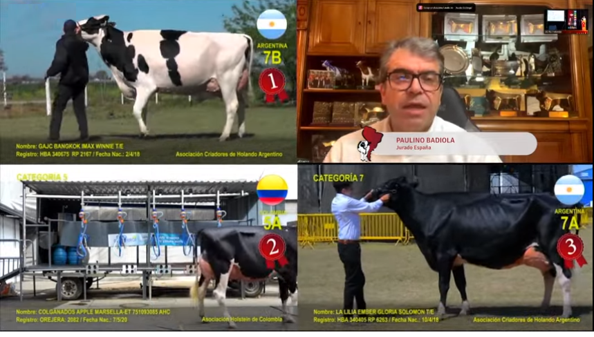 Gran performance de la genética lechera argentina en Copa Holstein 2023