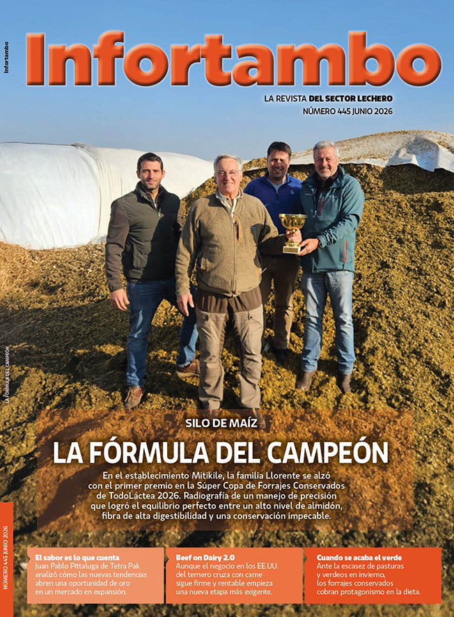 Infortambo 445